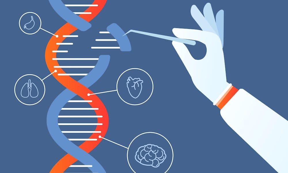 Dna engineering. Genome crispr cas9, gene mutation code modification. Human biochemistry and chromosomes research vector concept Scientists develop mobile genetics laboratory