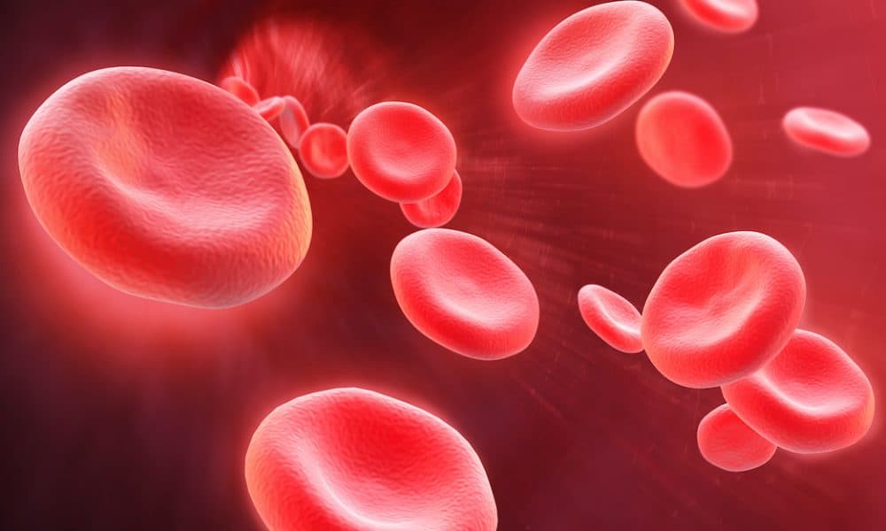 Consortium awarded grant for multi-omics test development