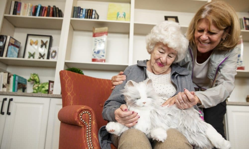 The robo pets helping dementia and Parkinson’s patients