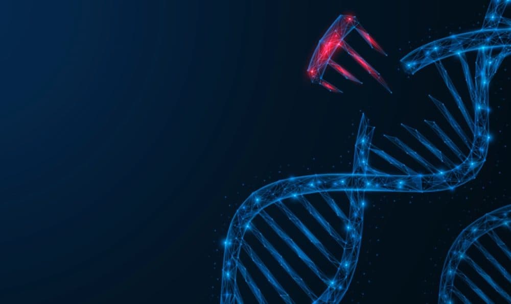 OriBiotech: The future of cell and gene therapy