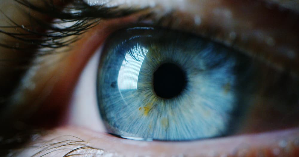Perfect,Blue,Eye,Macro,In,A,Sterile,Environment,And,Perfect AI predicts condition that can cause blindness