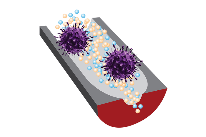 A new sensor can distinguish infectious viruses from noninfectious ones thanks to selective DNA fragments and sensitive nanopore technology.