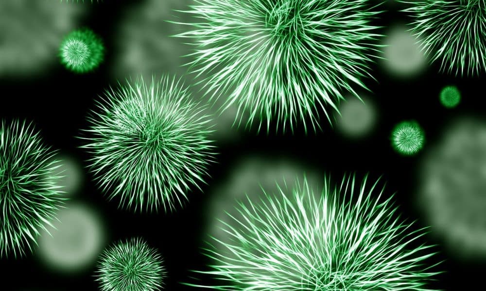 Spin-out company developing wound infection tests