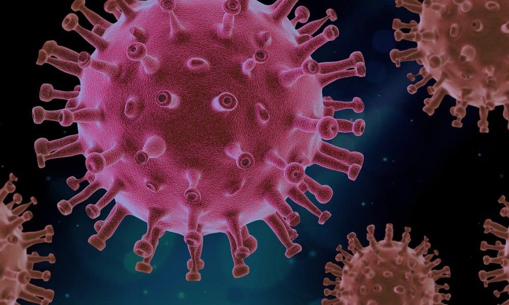 Tool to assess threat of new Omicron variant