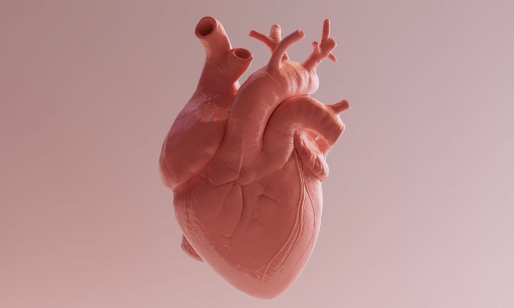 Untitled design (4) New artificial intelligence algorithim detects overlooked heart diseases