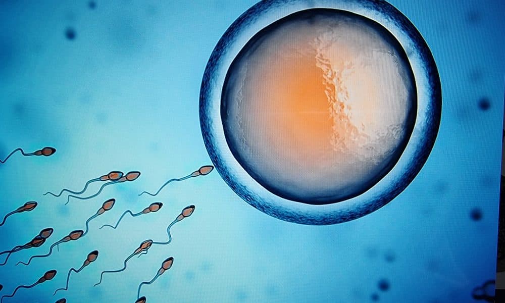 Researchers conceive way to isolate super-swimming sperm