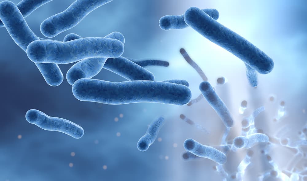 Electric shock tech changes bacteria cell types