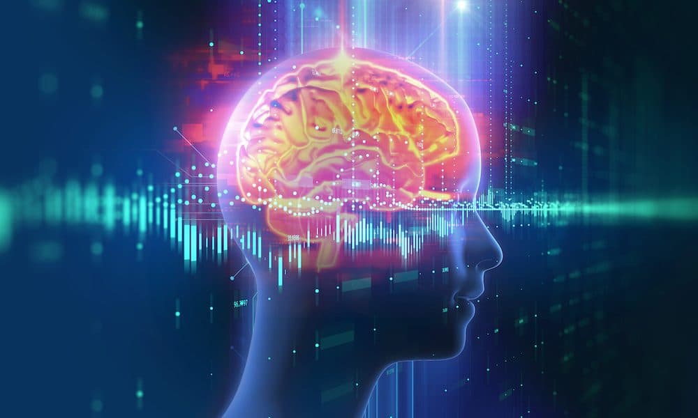 A ‘factory reset’ for the brain may help treat alcoholism