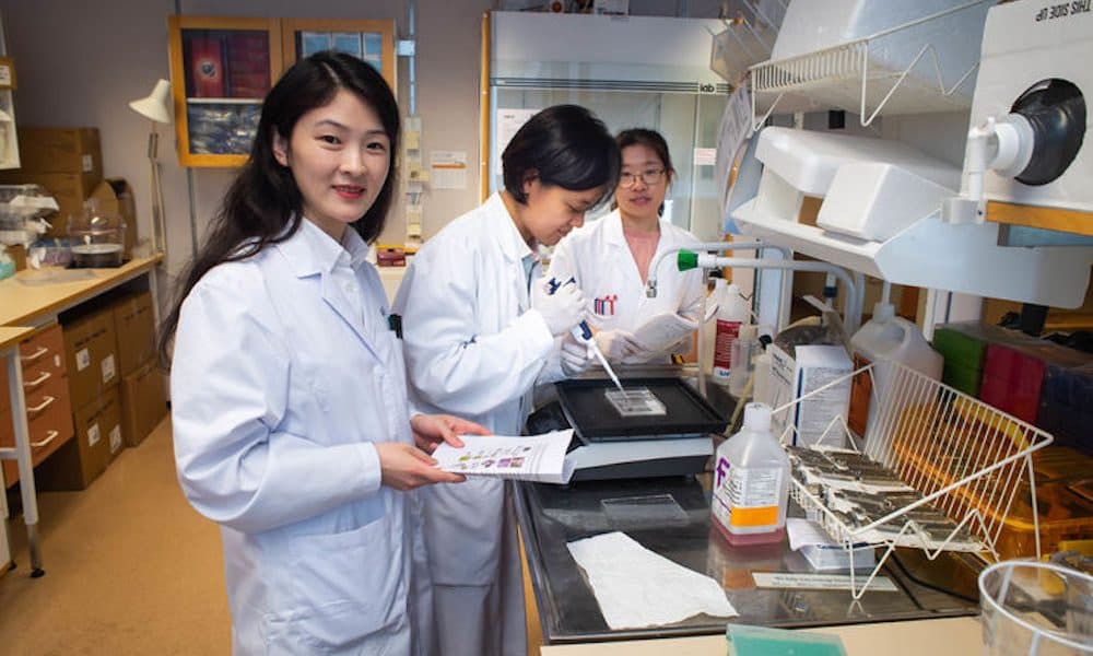 ‘Digital twins’ help give each patient the correct treatment