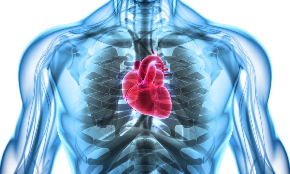 Study reveals tech that repairs and regenerates heart muscle cells