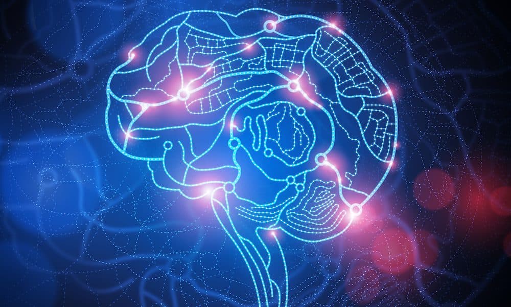 Neuroscientists create maps of the brain after traumatic injury
