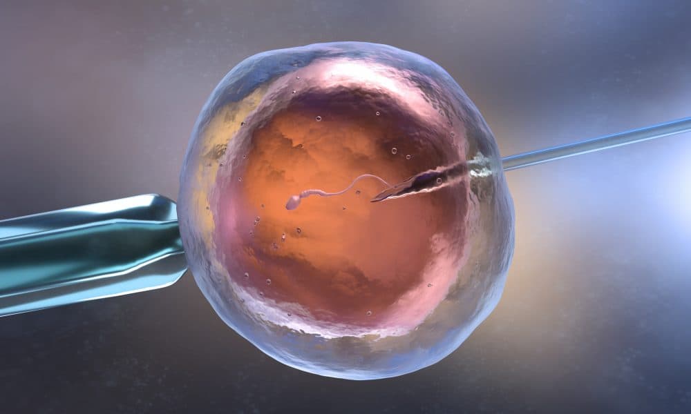 Should employers foot the bill for IVF? Two thirds of Brits think so