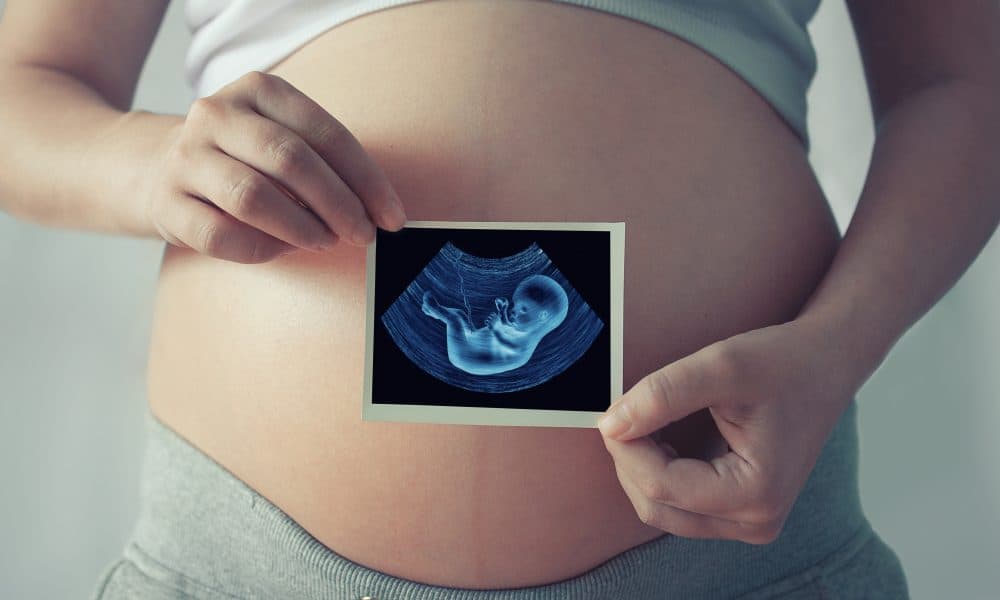 Revolutionary technology promises to reduce the time to pregnancy in assisted reproduction