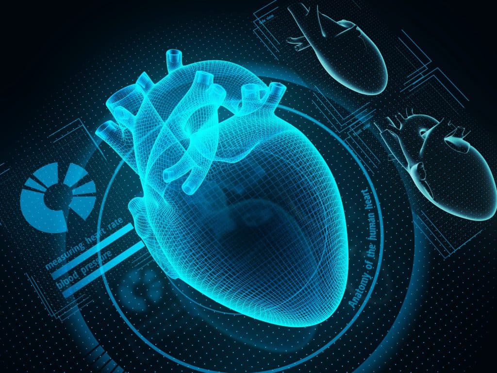 Heart