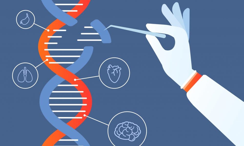 Anti-ageing gene ‘rewinds’ heart age by 10 years