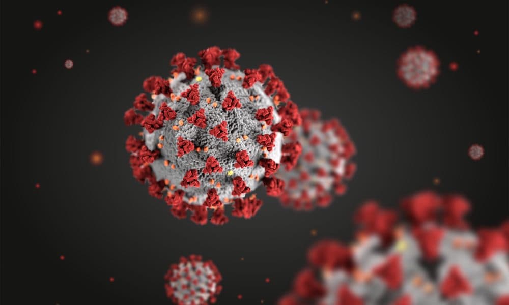 Researchers create material that captures coronavirus particles