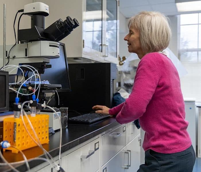 Artificial ‘bio-nose’ could identify odours