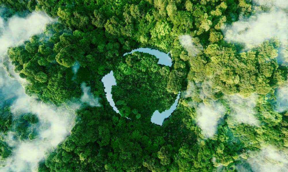 Tackling the diagnostic testing sustainability problem