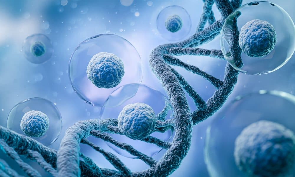 Limited manufacturing capacities are holding back the cell therapy revolution