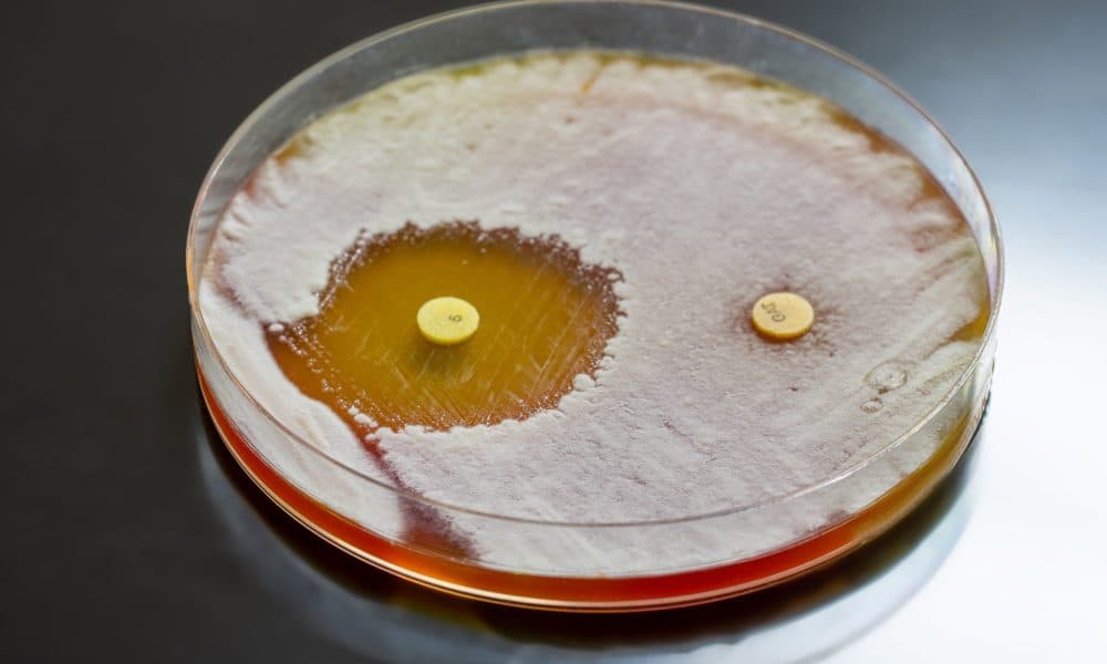 Photodisinfectant: can light curb the antimicrobial resistance crisis?