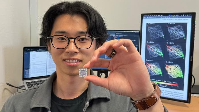 Nanowire Nanowire brain network learns and remembers ‘on the fly’