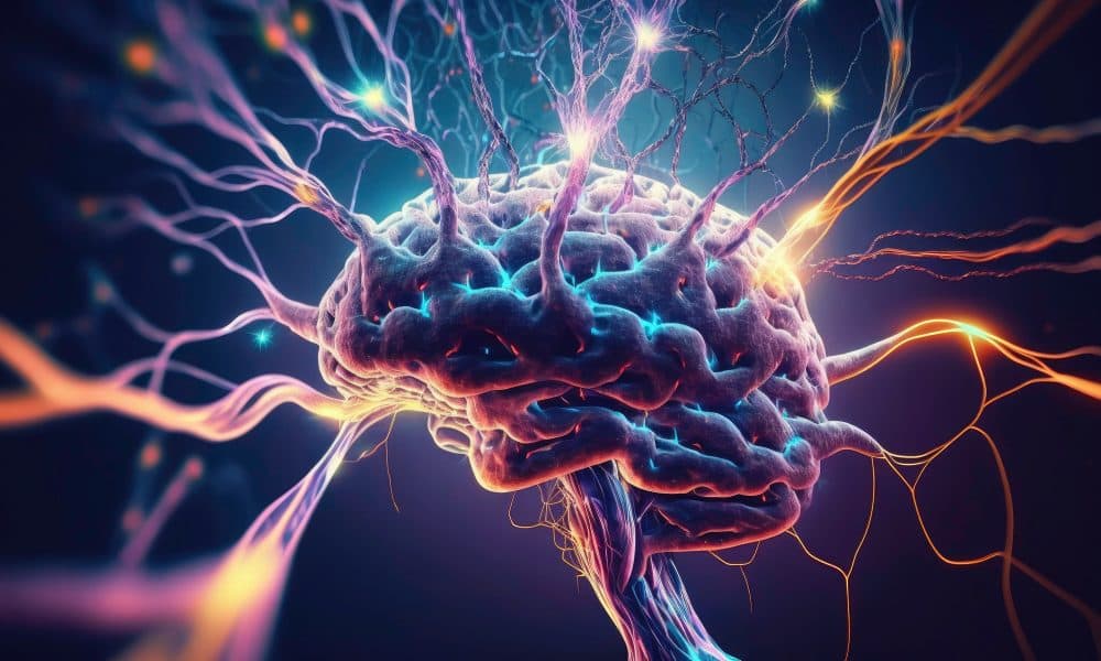 Discovery may shed light on mechanisms behind addiction and Parkinson’s