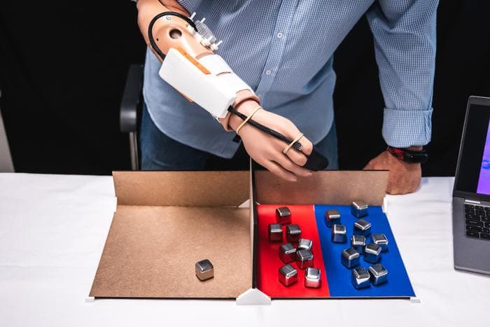 Temperature-sensitive prosthesis improves amputee dexterity and feelings of human connection
