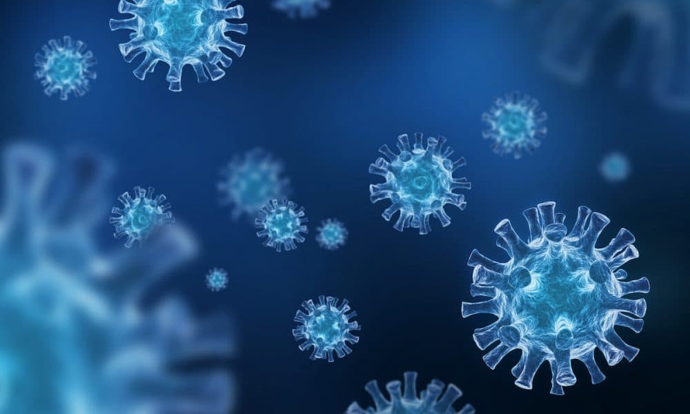 Therapeutic tool developed to inhibit the proliferation of SARS-CoV-2