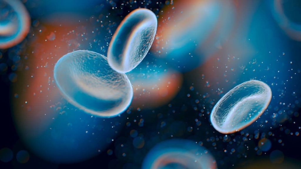 Tackling skin pigmentation bias in pulse oximeters