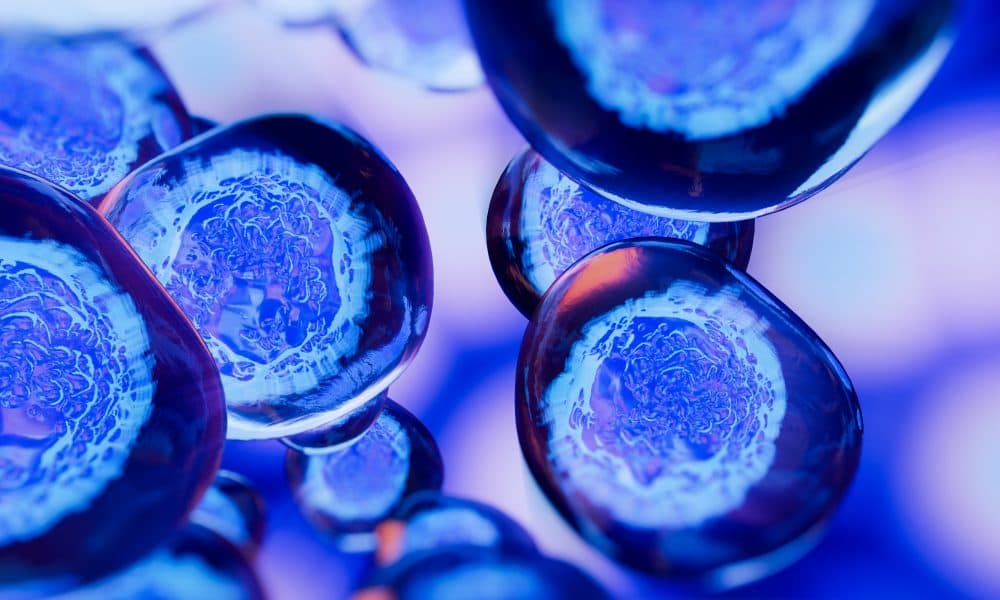 Stem cell-derived therapy shows promise against treatment-resistant liver cancer