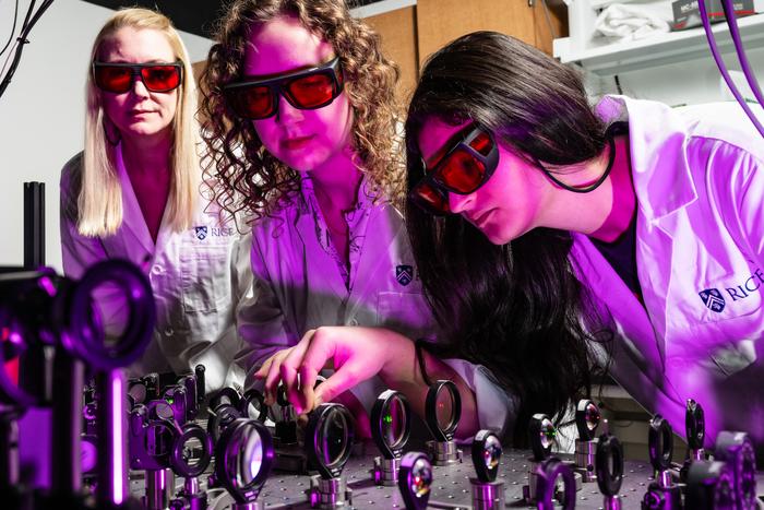 New imaging platform revolutionises 3D visualisation of cellular structures