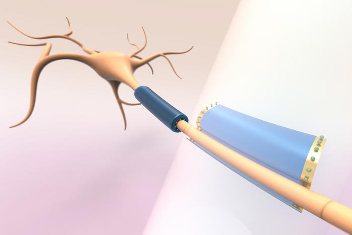 Low-Res_MIT-wearable-cells-01-press “Wearable” devices for cells may help restore some brain function
