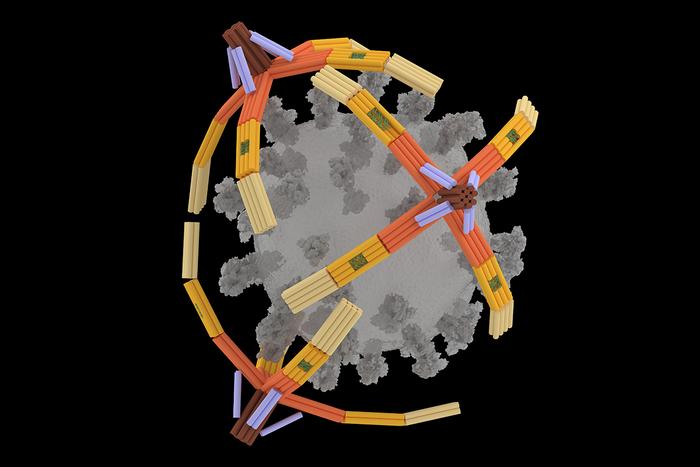 Low-Res_cr-DNA_NanoGripper_Virus-m Nanorobot hand made of DNA grabs viruses for diagnostics