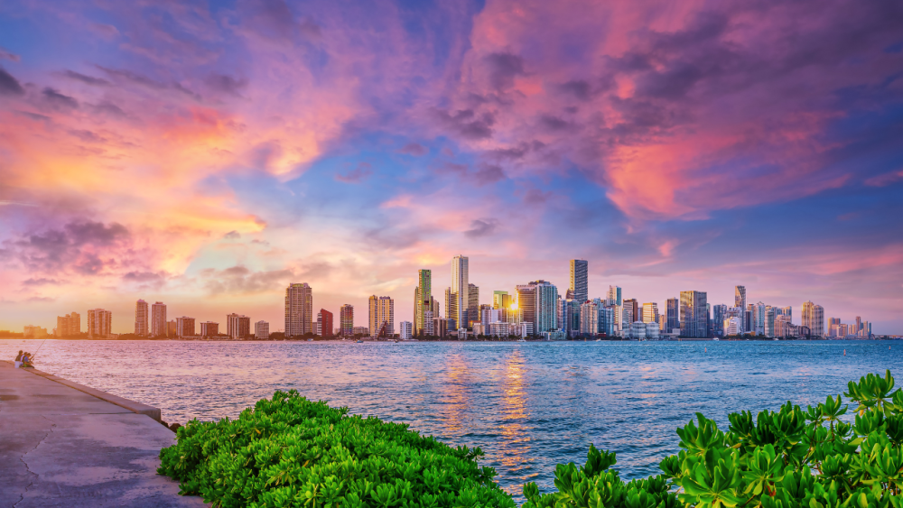 UK health tech targets Americas expansion at WHX Miami 2025